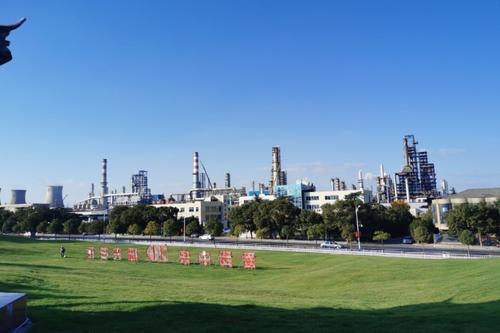 中石化金陵石化公司